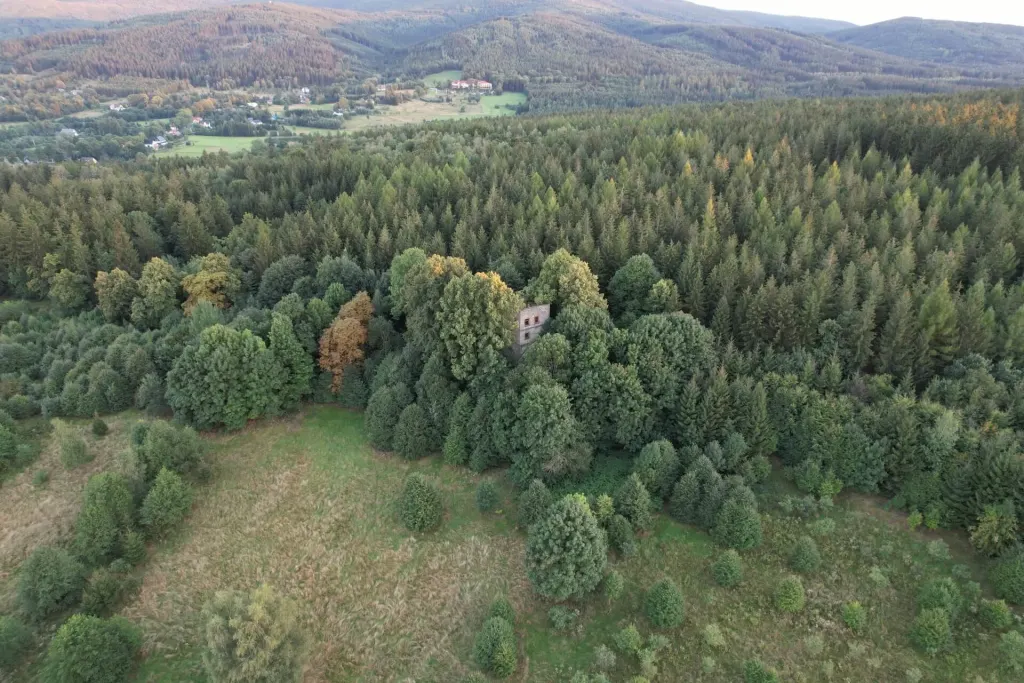 Rozległy widok na zalesione wzgórze Gierałtówek z wieżą pośrodku, w tle dolina i pasmo górskie