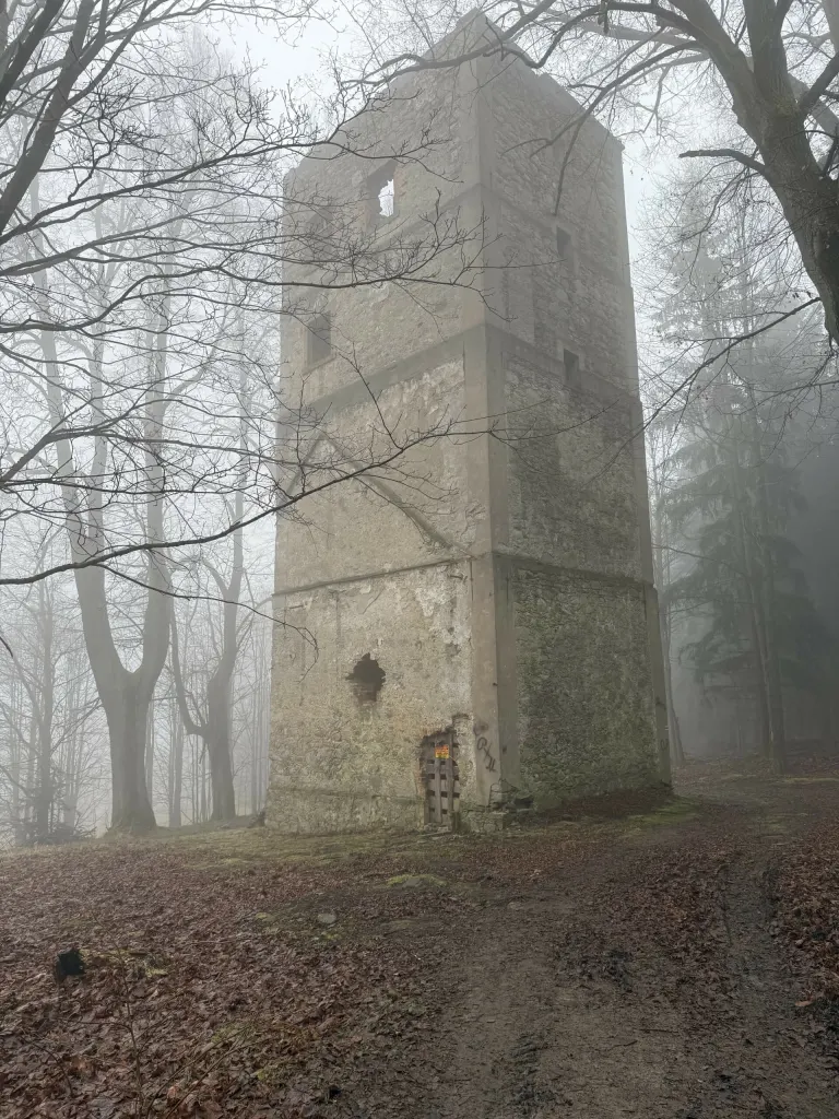 Wieża Mon Plaisir we mgle, otoczona bezlistnymi bukami, ścieżka z liści prowadzi do zakratowanego wejścia