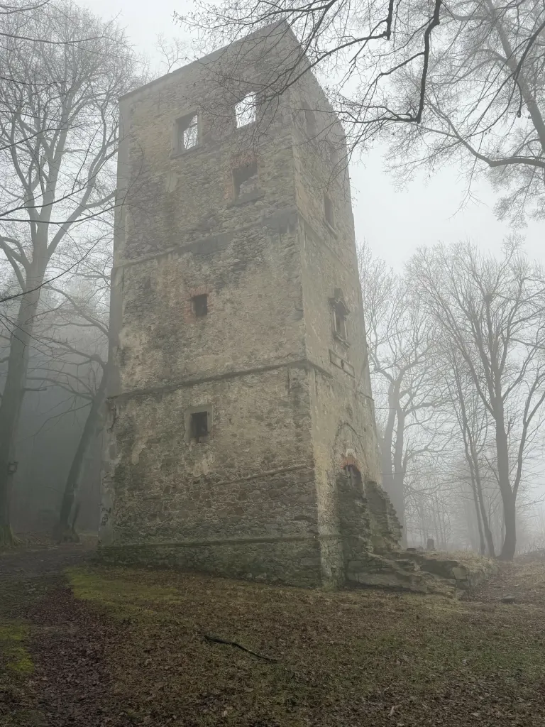 Zbliżenie na omszałe mury wieży spowite mgłą, widoczne ceglane obramienia otworów